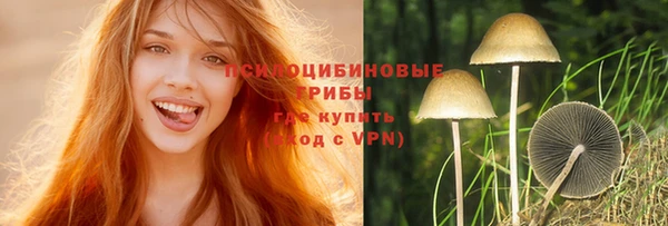 PSILOCYBIN Россошь
