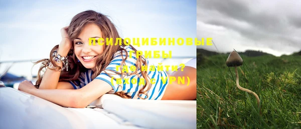 PSILOCYBIN Россошь