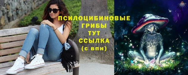 экстази Рославль