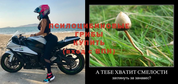 прущая мука Ростов