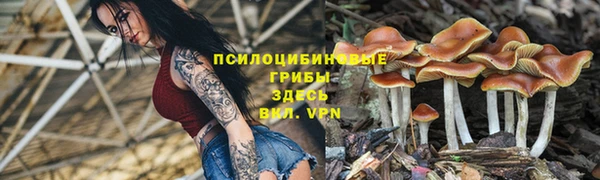 PSILOCYBIN Россошь