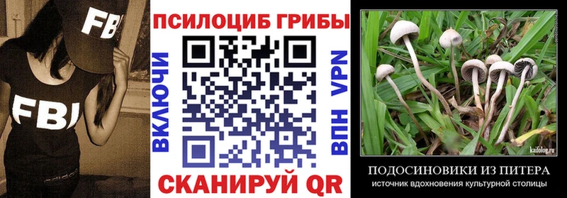 блэк спрут онион  Светлый  Галлюциногенные грибы мицелий  где можно купить  