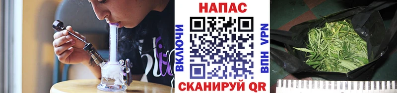 Бошки марихуана OG Kush  купить наркотик  Светлый 